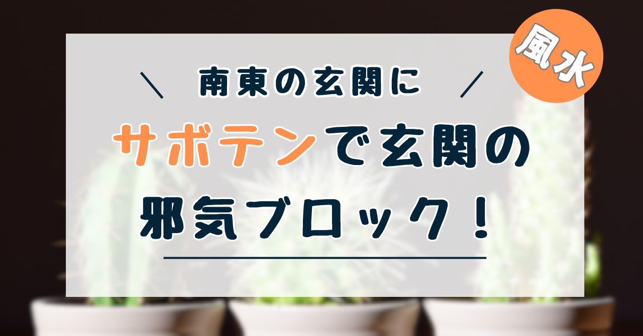 サボテン