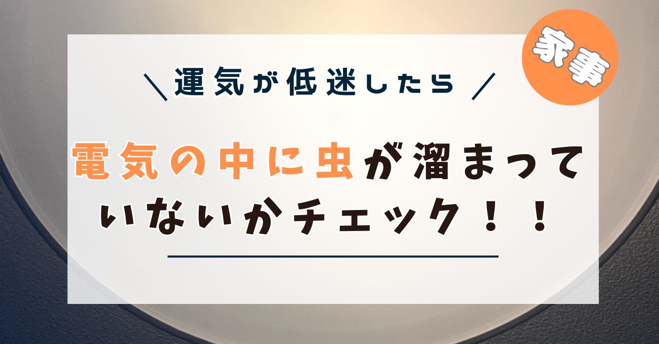 電気の虫